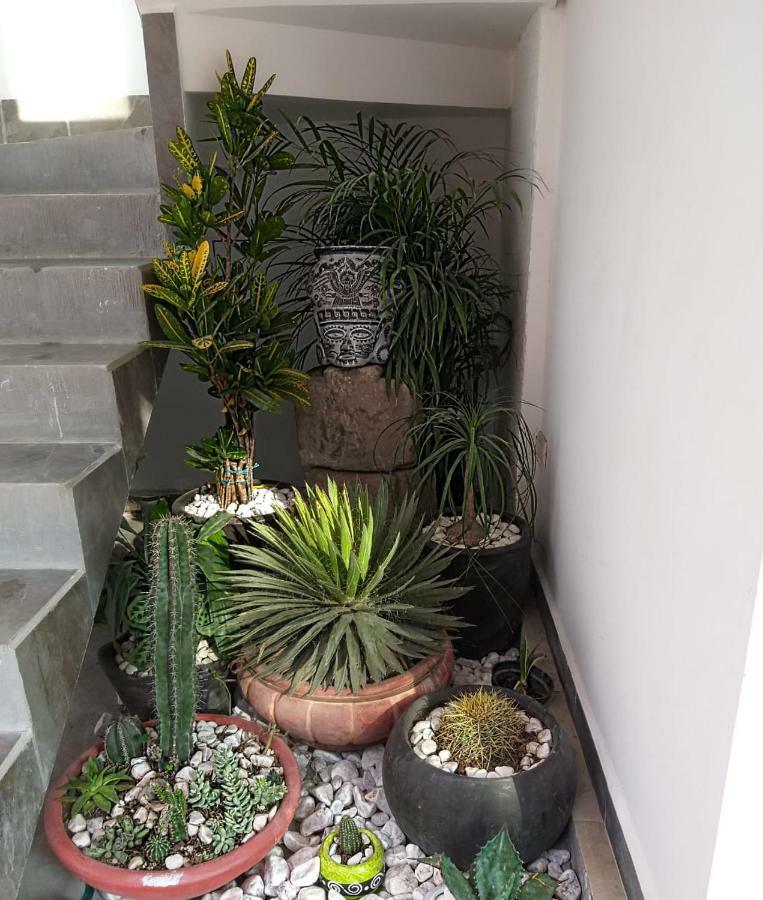 Hotel Boutique Acocalli San Juan Teotihuacán Εξωτερικό φωτογραφία
